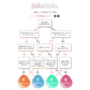 マスク 不織布 おしゃれ カラー 大きめ 小さ...の詳細画像3