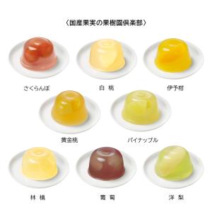 【公式】メリーチョコレート 国産果実の果樹園倶...の詳細画像2