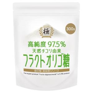 SAVE 高純度97.5％ フラクト オリゴ糖 粉末 パウダー 水溶性食物繊維 計量スプーン付 (300g)