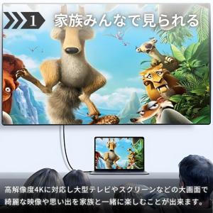 HDMI 変換 ケーブル タイプc type-...の詳細画像5