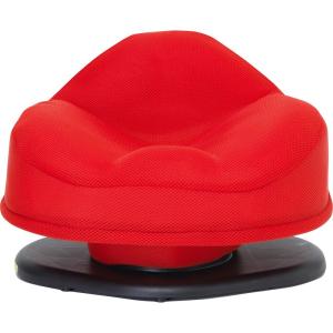 東急スポーツオアシス 骨盤スリムチェアDX （デラックス）