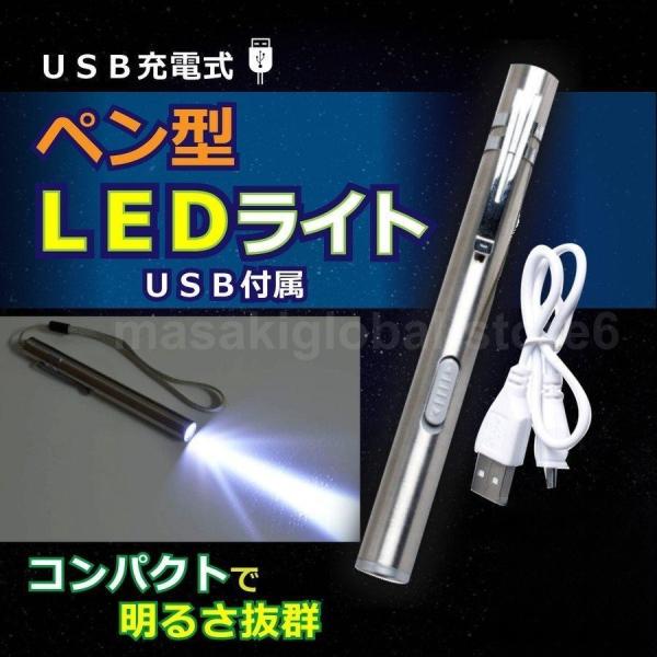 ペンライト LED 充電式 USB ステンレス製 ハンディ ストラップ付 スリム 軽量 ポケット ク...