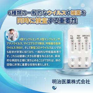 COVID-19 抗原検査キット 10個セット...の詳細画像2