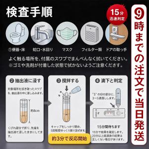COVID-19 抗原検査キット 10個セット...の詳細画像1