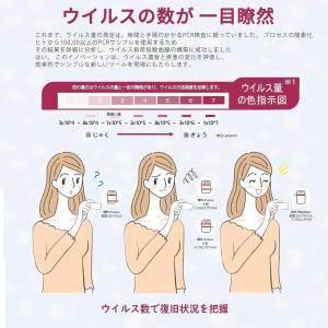 即発送!抗原検査キット 10個セッ 最新変異株...の詳細画像3