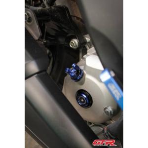 ヤマハ XMAX GTR クランクケース プラグ 5色 101111