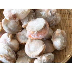 【特大サイズ】北海道 噴火湾産 ボイルホタテ ...の詳細画像4