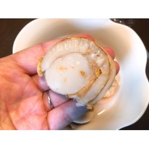【特大サイズ】北海道 噴火湾産 ボイルホタテ ...の詳細画像5
