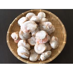 ボイルホタテ 北海道噴火湾産 生食可 800g...の詳細画像3