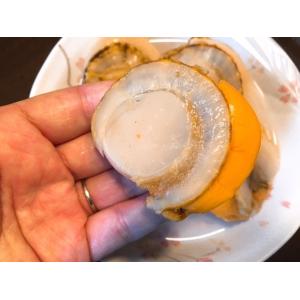 ボイルホタテ 北海道噴火湾産 生食可 800g...の詳細画像5
