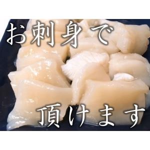 【訳あり】北海道産 刺身用ホタテフレーク 1k...の詳細画像2