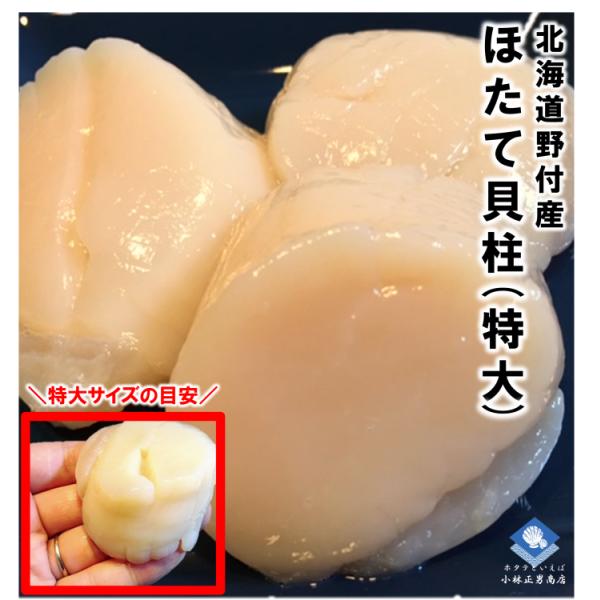 【大粒・特大】北海道産 刺身用ホタテ貝柱 1kg（21-25粒/Lサイズ）濃厚な旨味｜化粧箱入り｜ギ...