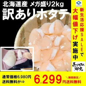 訳あり ホタテ貝柱 フレーク 北海道産 1kg 2個入 お刺身用 形不揃い品 送料無料 ギフト お取り寄せ お中元