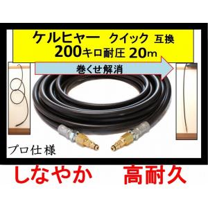 ケルヒャー（KARCHER） 高圧ホース 高圧洗浄機 プロ 高圧ホース 互換