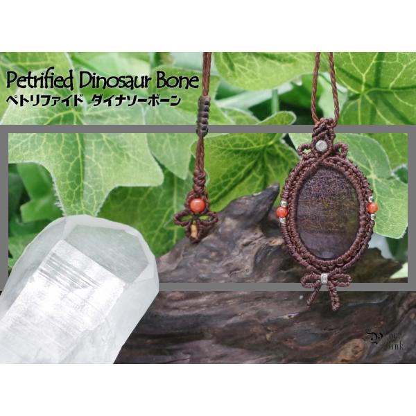 レア★龍骨・恐竜化石『ペトリファイドダイナソーボーン』カレンシルバーマクラメ編みネックレス5