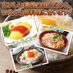 [夏季休業中の配送スケジュールをご確認ください...の詳細画像5