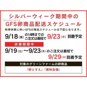 卵 生卵 産地直送 グリーンファームソーゴ 卵...の詳細画像1
