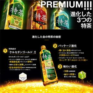 ※送料無料 サントリー 伊右衛門 特茶 100...の詳細画像1