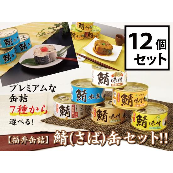 福井缶詰 7種類から選べる！鯖さば缶12個セット 鯖缶