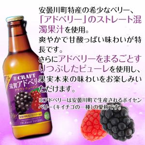 宝酒造 寶クラフトチューハイ 滋賀アドベリー ...の詳細画像2