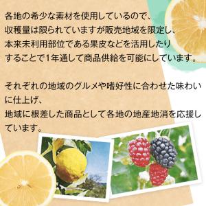 宝酒造 寶クラフトチューハイ 滋賀アドベリー ...の詳細画像5