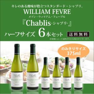 ウィリアム・フェーブル シャブリ ハーフボトル 6本セット 375ml×6本 送料無料｜mashimo