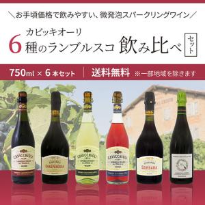 カビッキオーリ 6種のランブルスコ 飲み比べ 750ml×6本セット 送料無料｜mashimo