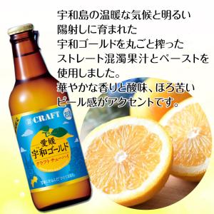 宝酒造 寶クラフト 愛媛 宇和 ゴールド クラ...の詳細画像3
