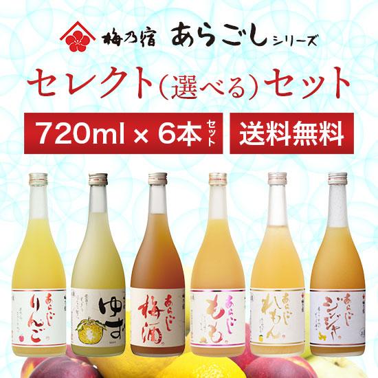 梅乃宿酒造和の果実酒 セレクトセット 720ml×6本