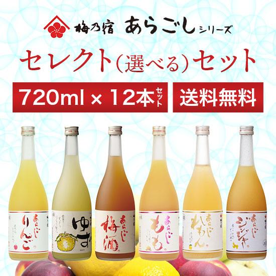 梅乃宿酒造和の果実酒 セレクトセット 720ml×12本