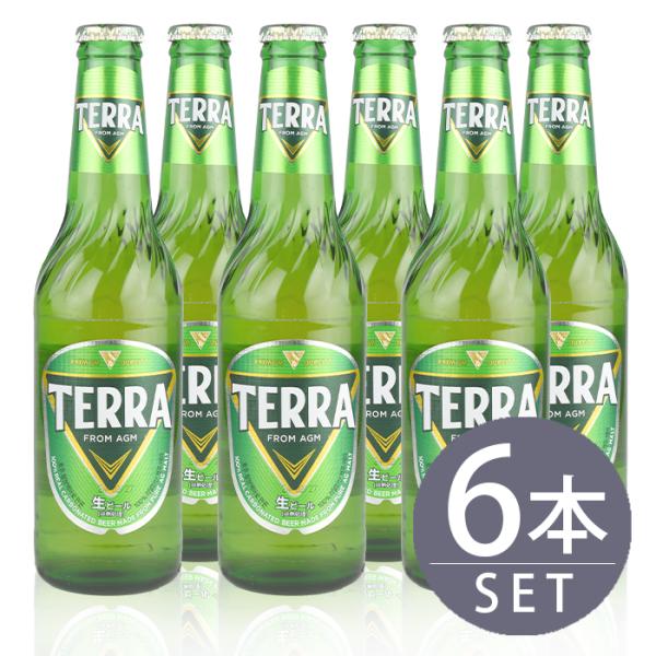 JINRO TERRA ビール 330ml 小瓶 6本 韓国 輸入ビール 海外