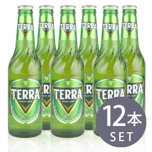JINRO TERRA ビール 330ml 小瓶 12本 韓国 輸入ビール 海外