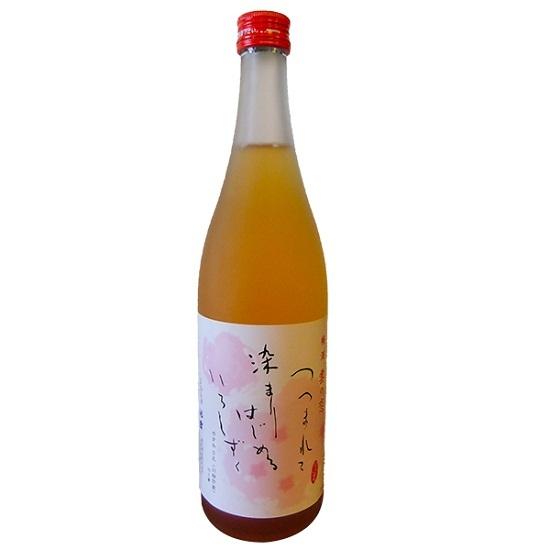 池田酒造 梅酒 雲の恋 720ml 瓶 舞鶴 地酒
