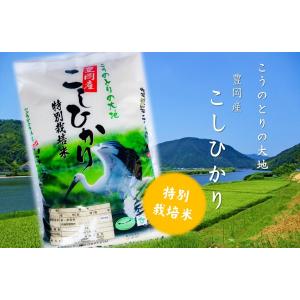 但馬米穀 特別栽培 こうのとりの大地 5kg こしひかり 兵庫県但馬産 化学農薬、化学肥料の使用を低減して栽培 お米 白米の商品画像