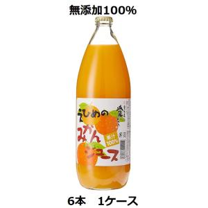 ジュース えひめのみかんジュース 1L瓶×6本 1ケース 伯方果汁 無添加 100％ジュース 送料無...