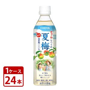 伊藤園 冷梅 ひやしうめ 冷凍対応500ml×2ケース（全48本）送料無料