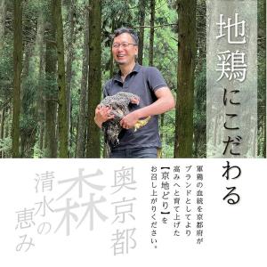 鶏肉 氷感 熟成肉 京地どり むね 約300g...の詳細画像3