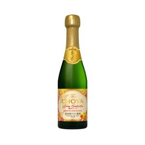 ワイン 梅酒 The CHOYA Ume Salute ザ・チョーヤ ウメ サルーテ 200ml 12本 1ケース 送料無料｜mashimo