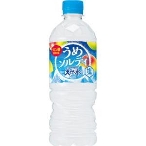特価 サントリー 天然水 うめソルティ 540ml ペット 24本 1ケース 送料無料