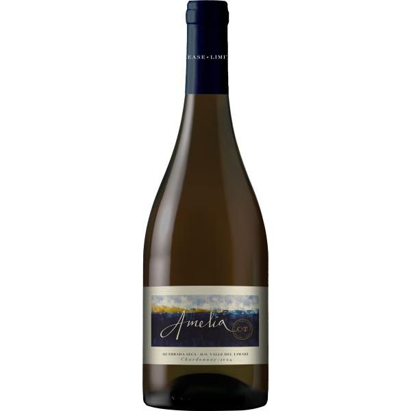 ●コンチャ イ トロ アメリア シャルドネ [2024] 750ml 白