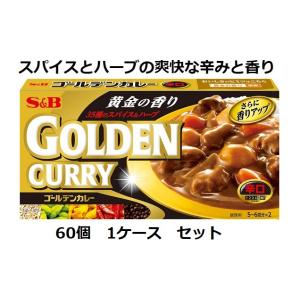 エスビー ゴールデンカレー辛口 198ｇ×60個 1ケース
