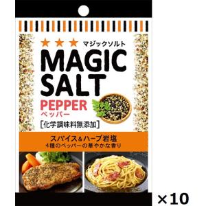 エスビー 袋入りマジックソルト  20g×10個