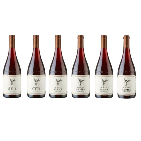 ワインセット モンテス アルファ ピノノワール  750ml 赤 6本セット 送料無料