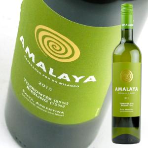 オーパス ワン 1996 ダブルマグナム 3000ml オーパスワン オーパス