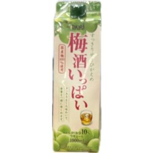宝酒造10° 梅酒いっぱい 1Lパック 梅酒 1000ml