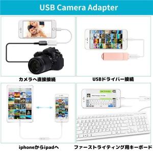 iPhone ipad Lightningコネ...の詳細画像1