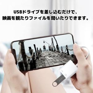 iPhone ipad Lightningコネ...の詳細画像2