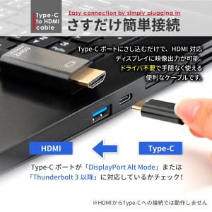 HDMI 変換ケーブル Type-C 変換アダ...の詳細画像1