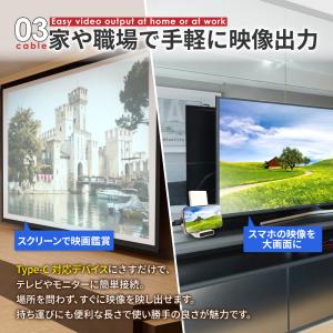 HDMI 変換ケーブル Type-C 変換アダ...の詳細画像5