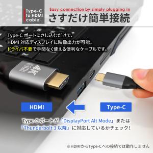 HDMI 変換ケーブル Type-C 変換アダ...の詳細画像1